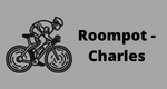Roompot-Charles is a great example of teamwork in cycling